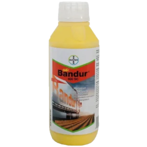 Bandur Forte SC 600 1L