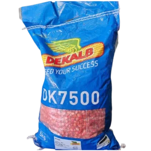 DK-7500 Hybrid Yellow Maize