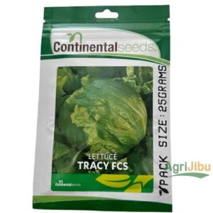 Lettuce Tracy FCS – Continental Seeds