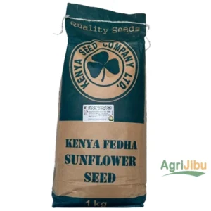 Kenya Fedha Sunflower Seeds 1kg
