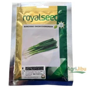 Royal Bunching Spring Onion Seeds