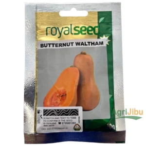 Royal Waltham Butternut Seeds