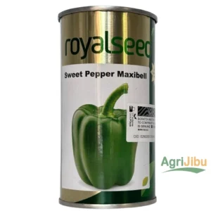 Royal Sweet Pepper Maxibell (Capsicum)