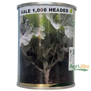 Royal Kale 1000 Headed Seeds