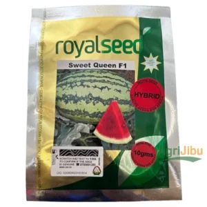 Royal Sweet Queen F1 Watermelon Seeds