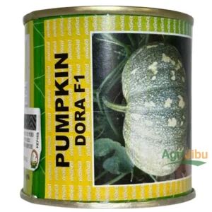 Safari Pumpkin Dora F1 Seeds