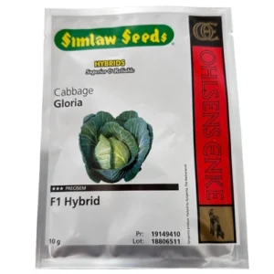 Gloria F1 Cabbage