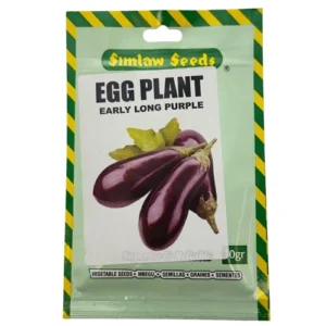 Simlaw Early Long Purple Eggplant