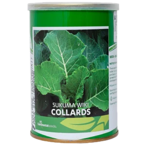 Collards Sukuma Wiki (Continental)