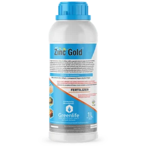 Zinc Gold