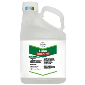 Luna Sensation SC500