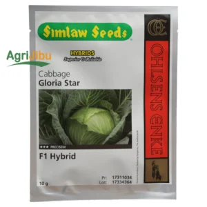 Cabbage Gloria Star F1