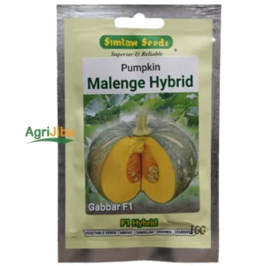 Pumpkin Gabbar F1 – Malenge Seeds