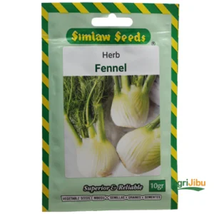 Fennel Herb Seeds