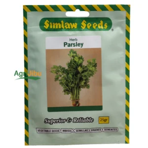 Parsley Italian Giant Seeds