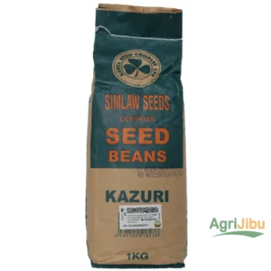 Kazuri Beans Seeds