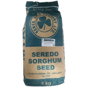Seredo Sorghum