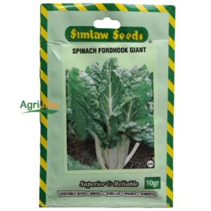 Simlaw Fordhook Giant (Spinach)