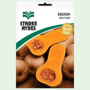 Starke Ayres Waltham Butternut
