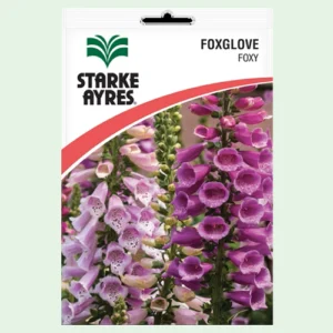 Foxglove Foxy Flower