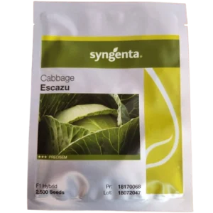 Escazu F1 Cabbage