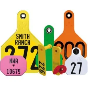 Customized Cow Ear Tags